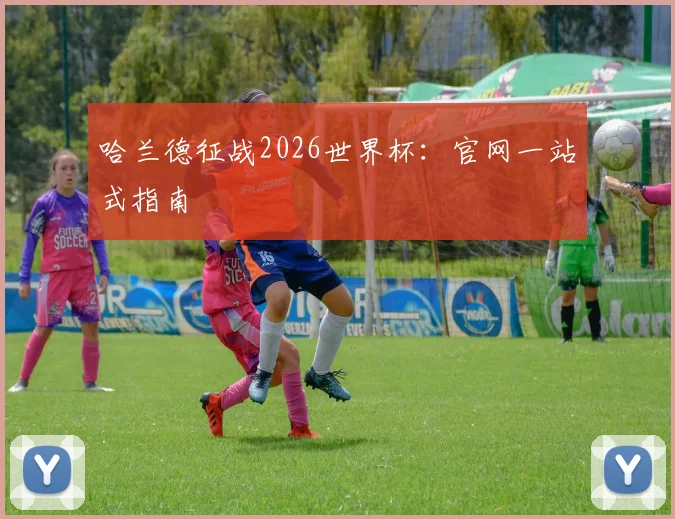 哈兰德征战2026世界杯：官网一站式指南